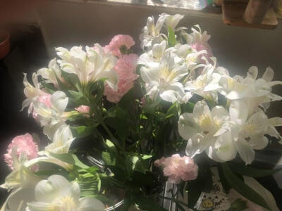 Silken Bloom（丝绸绽放）