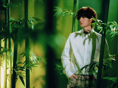 #王一博[超话]# · #王一博出道十一周年快乐#
绿意漫卷，竹摇清影，静默坚韧扎根向下，迎光而立节节向上，以竹的姿态继续生长。
十一如一，@UNIQ-王一博 出道十一周年快乐！[打call] ​​​