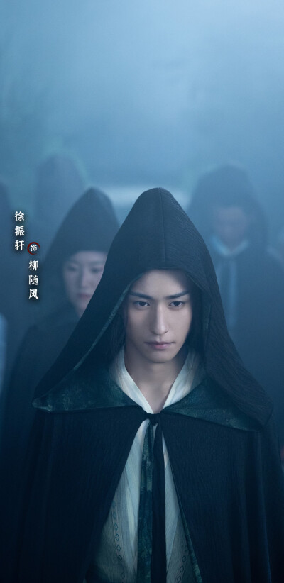 徐振轩《赴山海》柳随风