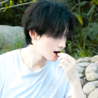 蓝色是鼠尾草，大海是白痴。