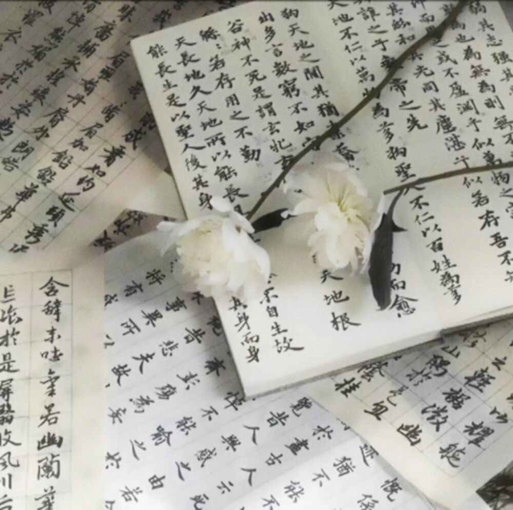 小生书剑飘零,功名未遂,游于四方。