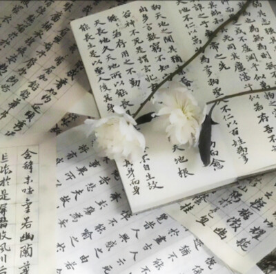 小生书剑飘零,功名未遂,游于四方。