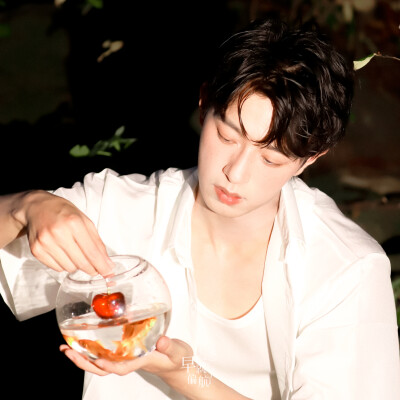 蓝色是鼠尾草，大海是白痴。