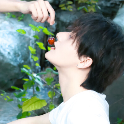 蓝色是鼠尾草，大海是白痴。