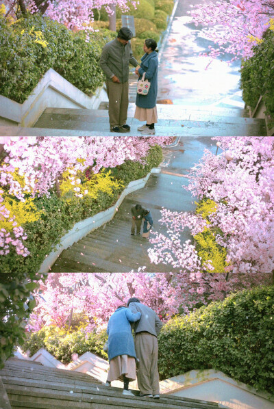 苦尽柑来遇见你 与恶魔有约 背着善宰跑