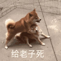 各類文字表情包/搞笑/可爱