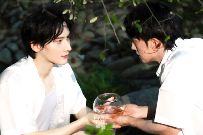 蓝色是鼠尾草，大海是白痴。