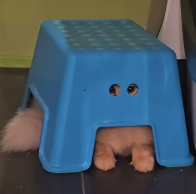 哈哈