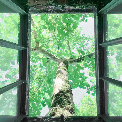 Moss-grown lanes—《青石巷》*伞下旧年雨