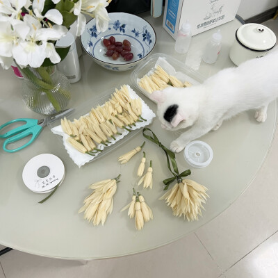 1、没想到大白兔居然有这么多口味，在店里像小仓鼠一样穿梭，把每一种都收集一点买回家尝尝
2、不喜欢科技面料更接受不了化纤，春夏秋三季永远习惯棉、麻、真丝
3、水果彩椒很好看，有些食物光用眼睛看心情就很好，…