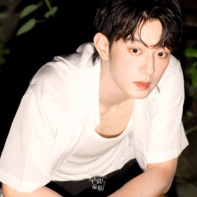 蓝色是鼠尾草，大海是白痴。