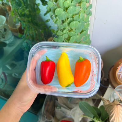 1、没想到大白兔居然有这么多口味，在店里像小仓鼠一样穿梭，把每一种都收集一点买回家尝尝
2、不喜欢科技面料更接受不了化纤，春夏秋三季永远习惯棉、麻、真丝
3、水果彩椒很好看，有些食物光用眼睛看心情就很好，…