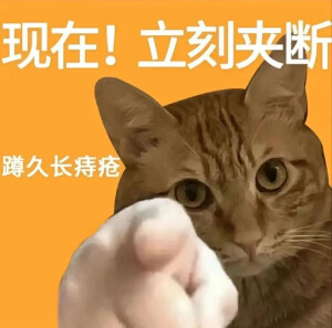 各類文字表情包/搞笑/可爱