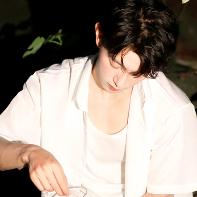 蓝色是鼠尾草，大海是白痴。