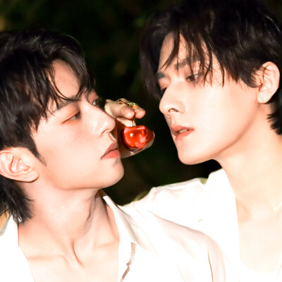 蓝色是鼠尾草，大海是白痴。