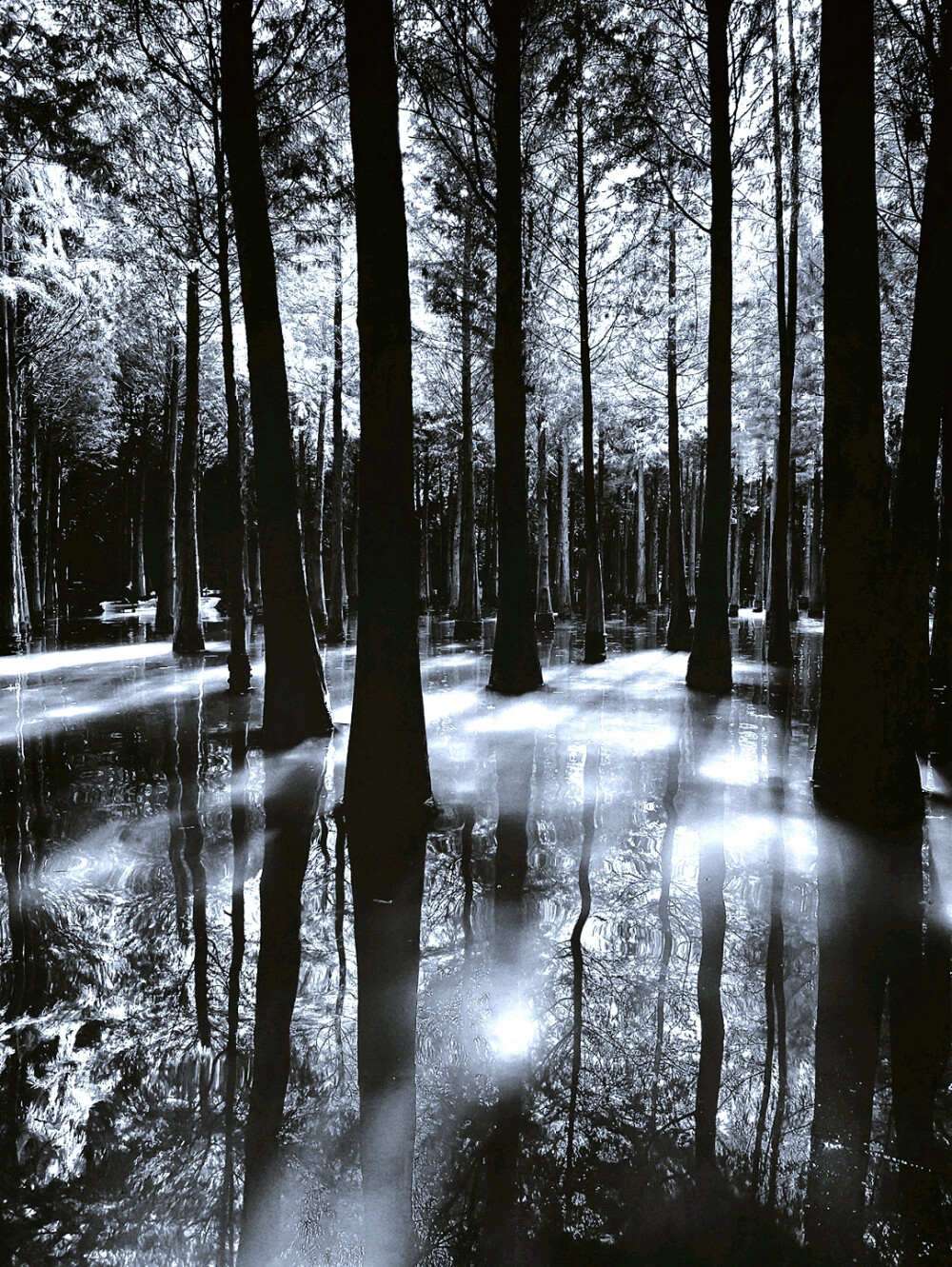 日常
万象融和 意韵殊途