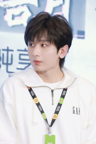 成毅