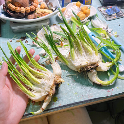 1、没想到大白兔居然有这么多口味，在店里像小仓鼠一样穿梭，把每一种都收集一点买回家尝尝
2、不喜欢科技面料更接受不了化纤，春夏秋三季永远习惯棉、麻、真丝
3、水果彩椒很好看，有些食物光用眼睛看心情就很好，…