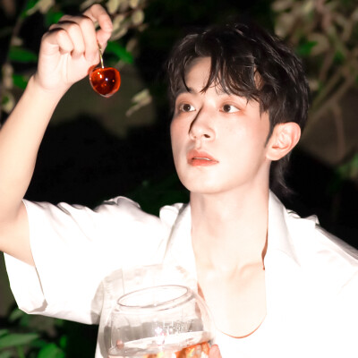 蓝色是鼠尾草，大海是白痴。