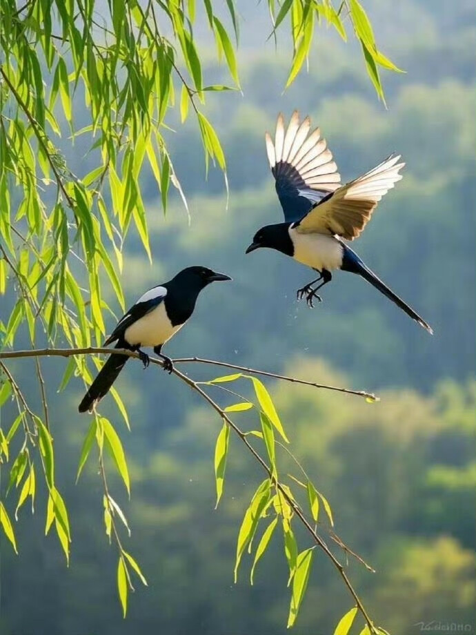 真正的圆满，不在事事如愿，
而在接纳不完美的豁达里，
生长出对抗岁月的底气。