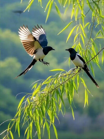 真正的圆满，不在事事如愿，
而在接纳不完美的豁达里，
生长出对抗岁月的底气。