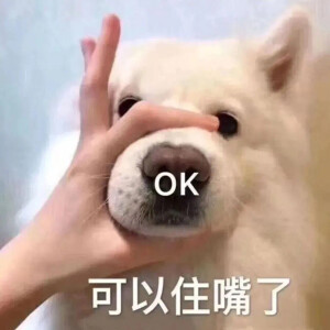 各類文字表情包/搞笑/可爱