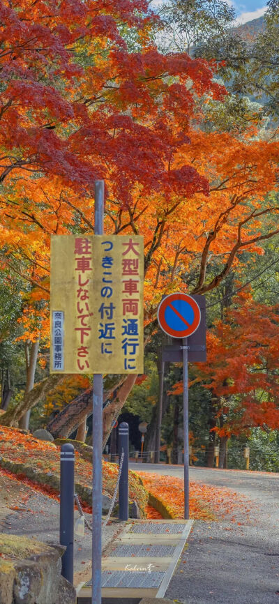 壁纸