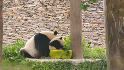 璨璨一家