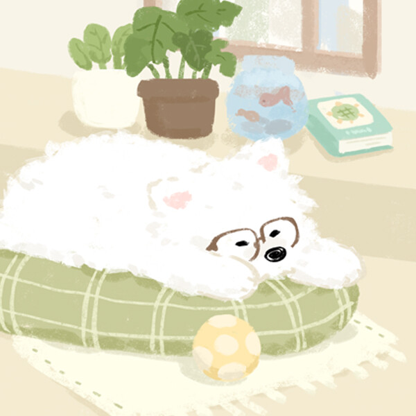 ₍˄·͈༝·͈˄*₎◞ ̑̑