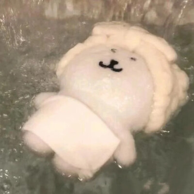 XIAOGOU 
