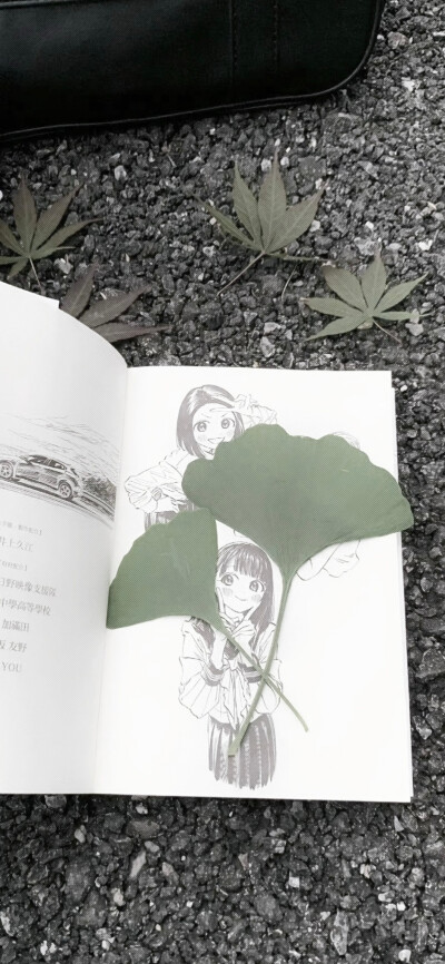 手机壁纸