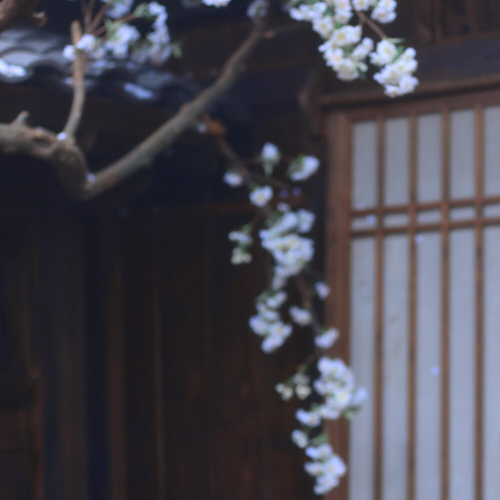  沅冬序宝宝的☆ ՞ ɞ̴̶̷ ·̥ ɞ̴̶̷ ՞ ໒꒱