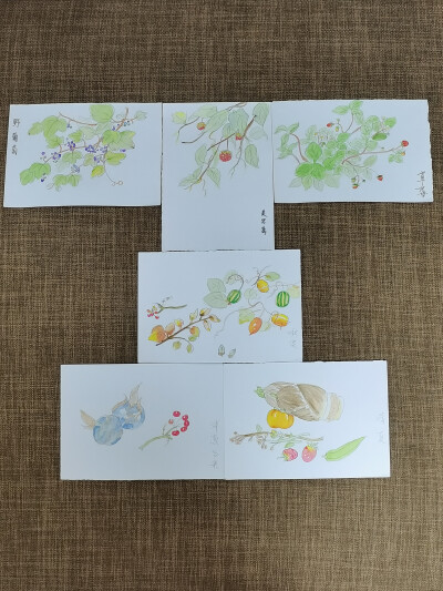 绘画 | 水彩 | 果花甘04
花影婆娑，暗香萦秀，琼浆凝露，翡点翠叠。
清透的水彩植物，有花卉和蔬果。
还是2018年，大三暑假。这样的水彩植物画了很多张。
铅笔游走在纸上，留下黑灰色的印记。
毛笔沾了颜料，再沾…