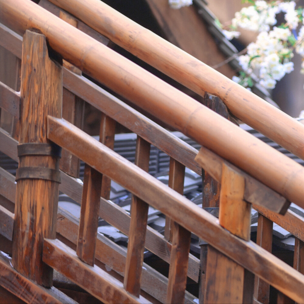  沅冬序宝宝的☆ ՞ ɞ̴̶̷ ·̥ ɞ̴̶̷ ՞ ໒꒱