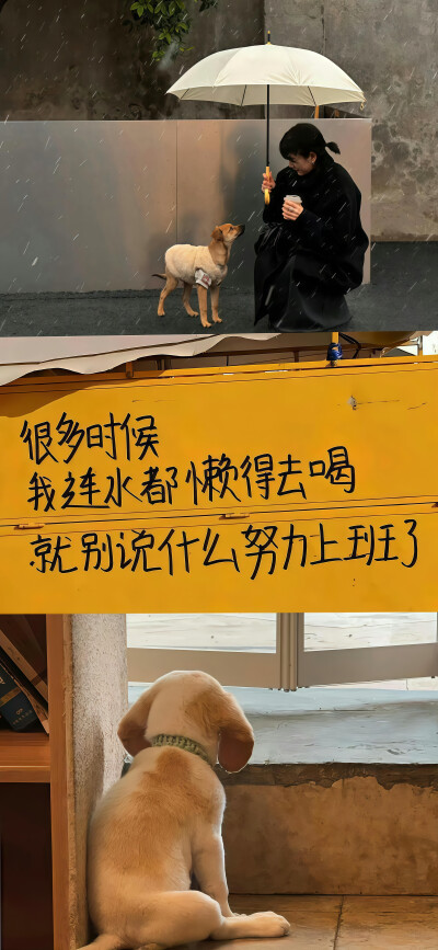 高清壁纸