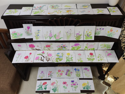 绘画 | 水彩 | 果花甘04
花影婆娑，暗香萦秀，琼浆凝露，翡点翠叠。
清透的水彩植物，有花卉和蔬果。
还是2018年，大三暑假。这样的水彩植物画了很多张。
铅笔游走在纸上，留下黑灰色的印记。
毛笔沾了颜料，再沾…