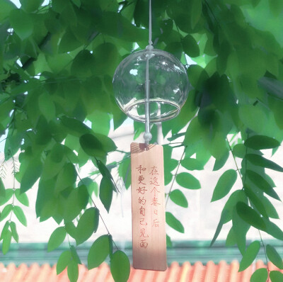 ·惬意‖艾米
﹥只需相信生命会有被庆祝事情 