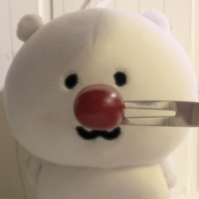 XIAOGOU 