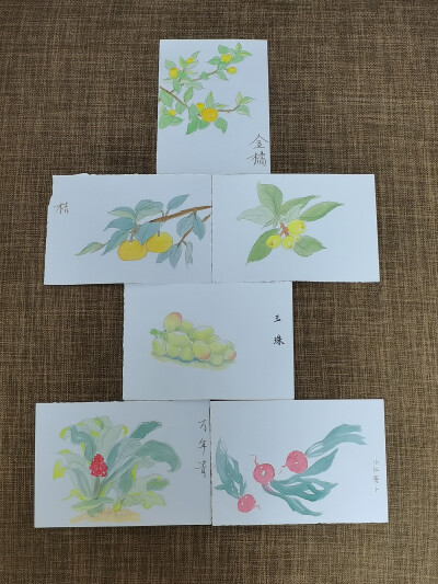 绘画 | 水彩 | 果花甘04
花影婆娑，暗香萦秀，琼浆凝露，翡点翠叠。
清透的水彩植物，有花卉和蔬果。
还是2018年，大三暑假。这样的水彩植物画了很多张。
铅笔游走在纸上，留下黑灰色的印记。
毛笔沾了颜料，再沾…