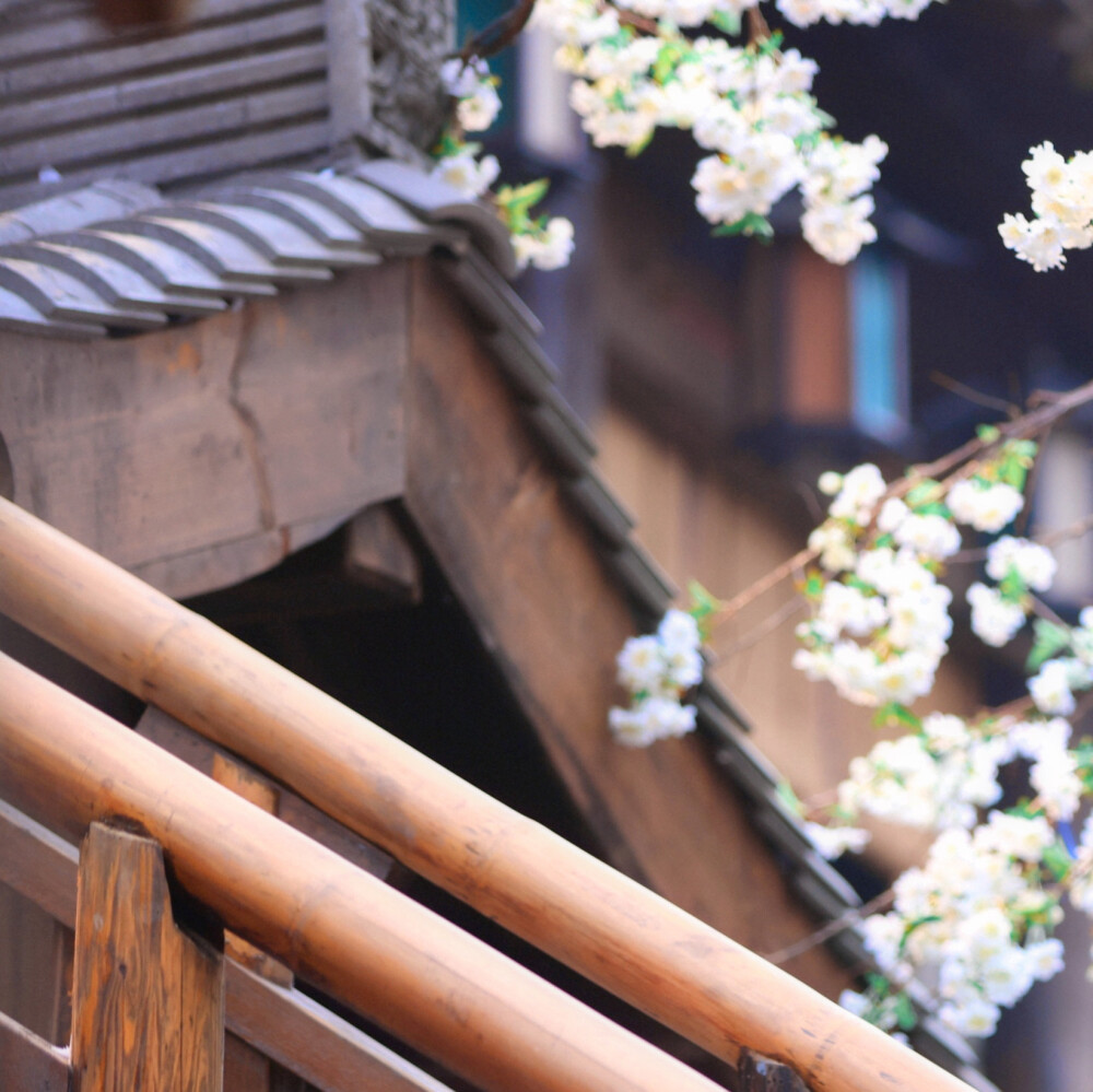  沅冬序宝宝的☆ ՞ ɞ̴̶̷ ·̥ ɞ̴̶̷ ՞ ໒꒱