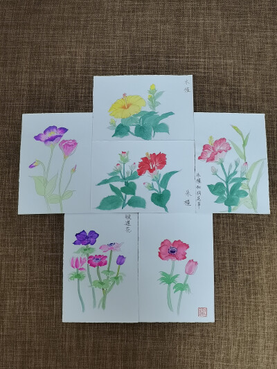 绘画 | 水彩 | 果花甘04
花影婆娑，暗香萦秀，琼浆凝露，翡点翠叠。
清透的水彩植物，有花卉和蔬果。
还是2018年，大三暑假。这样的水彩植物画了很多张。
铅笔游走在纸上，留下黑灰色的印记。
毛笔沾了颜料，再沾…