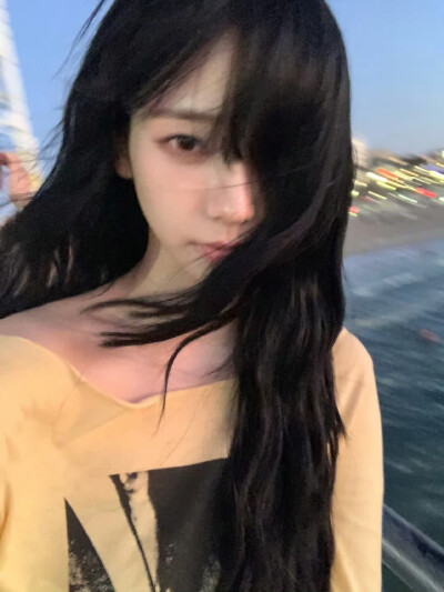 柳智敏