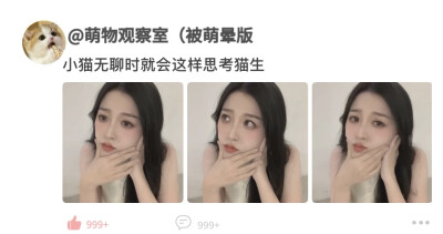 小猫平时就是这样
