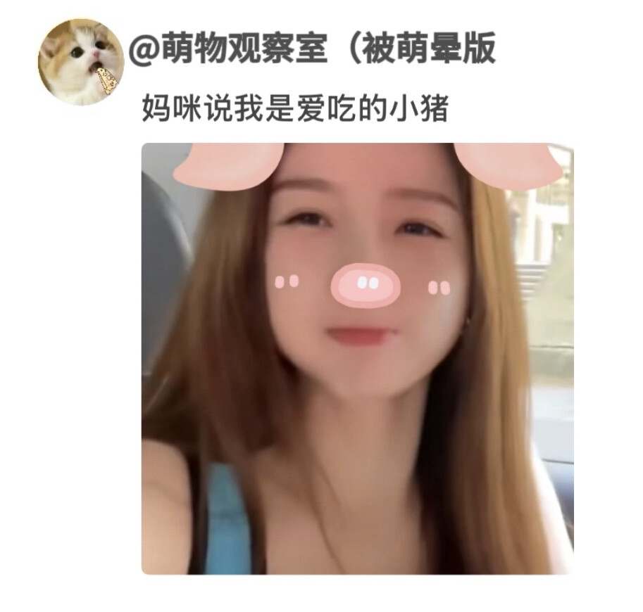 家有小萌猪