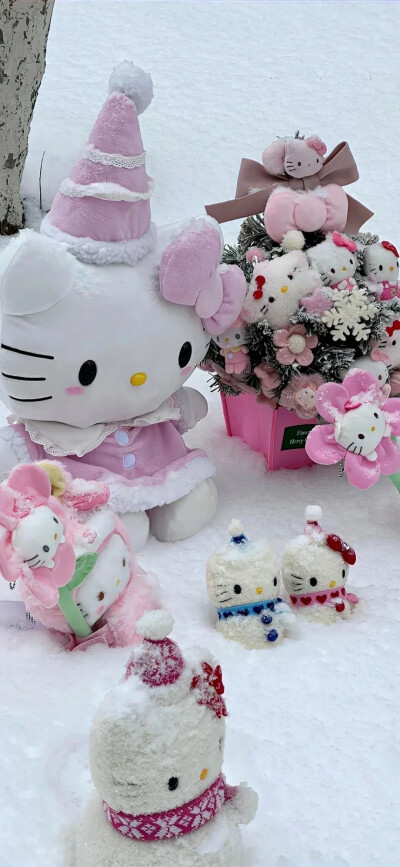 kitty壁纸