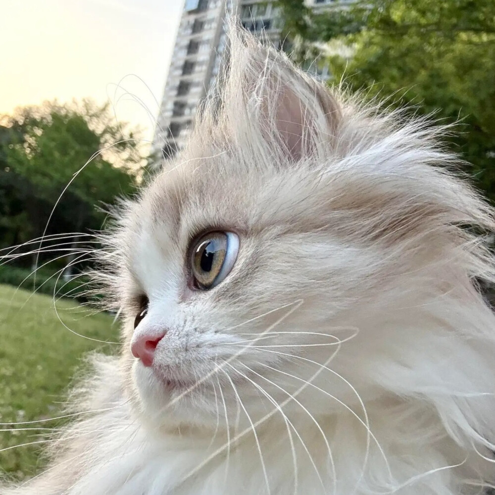 ‎#ليس قوة خارقة