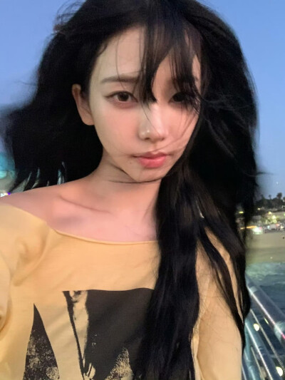 柳智敏