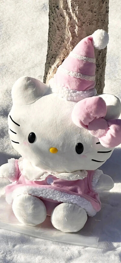 kitty壁纸