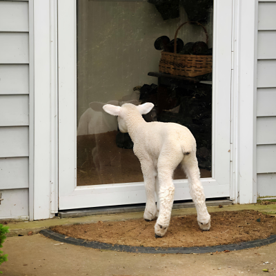 ‎#ليس قوة خارقة