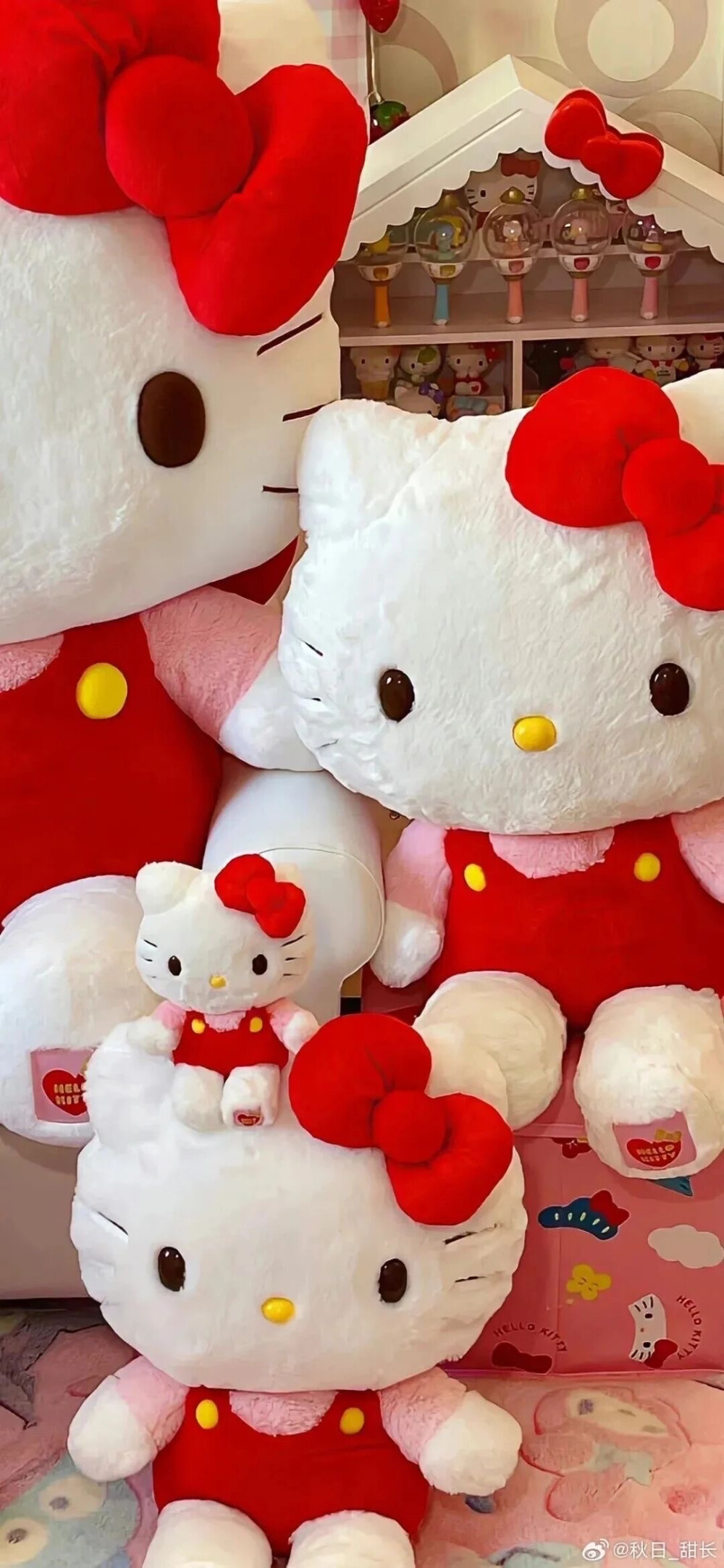 kitty壁纸